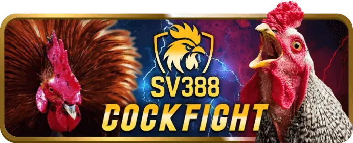 Chương trình VIP BK888